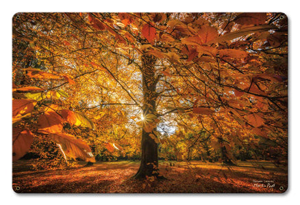 Autumn Scene 12 x 18