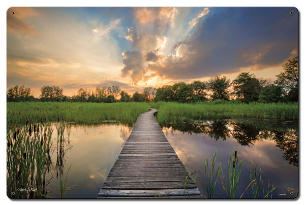 Path and Pond 24 x 16