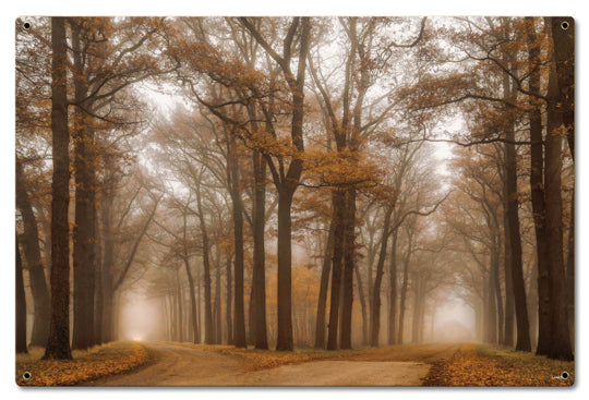 Two Paths 24 x 16