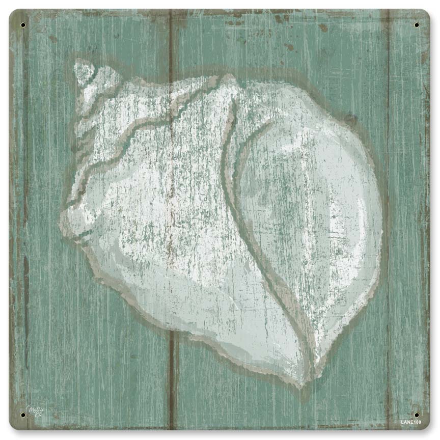 Seashell 12 x 12