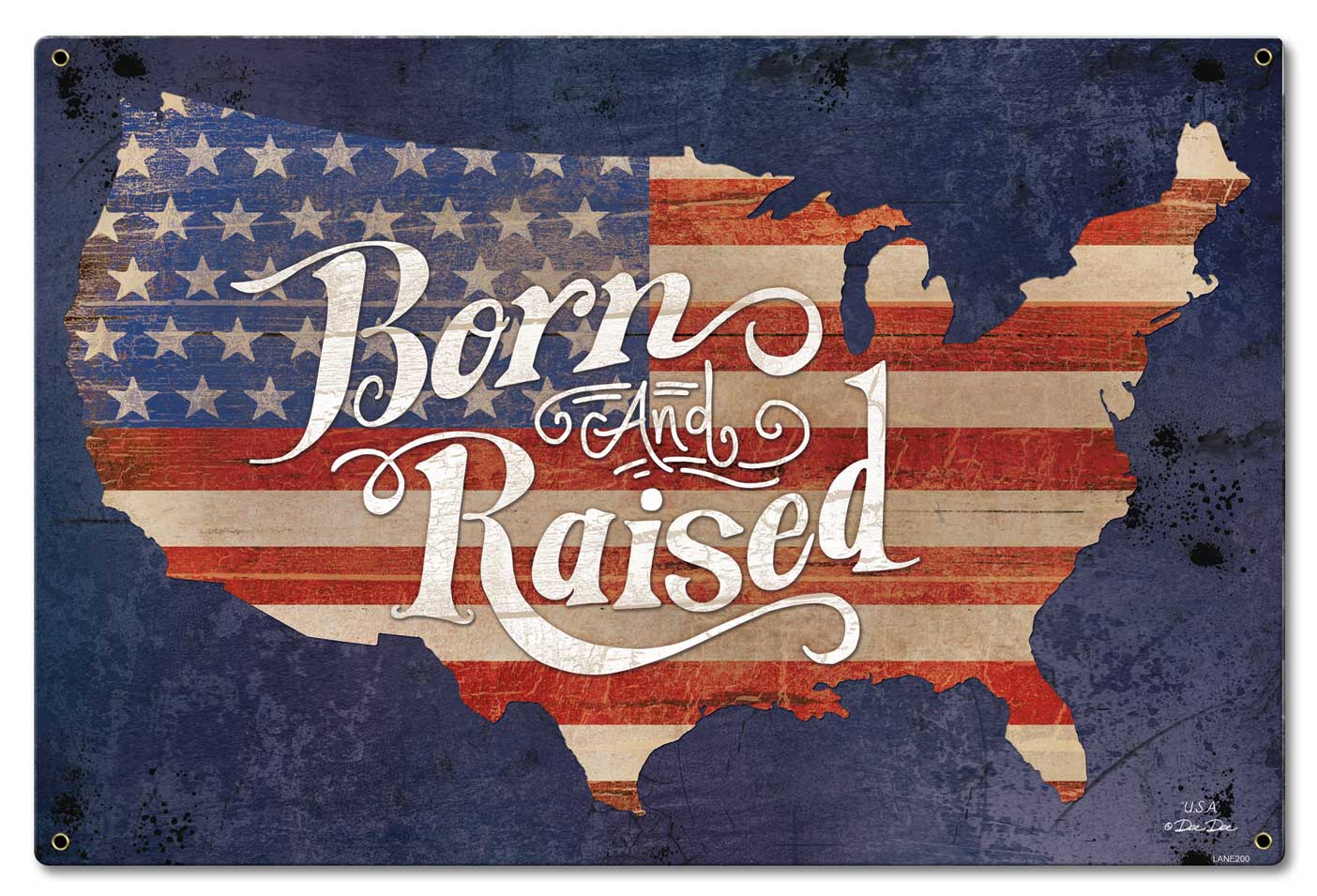 Born And Raised America 16 x 24