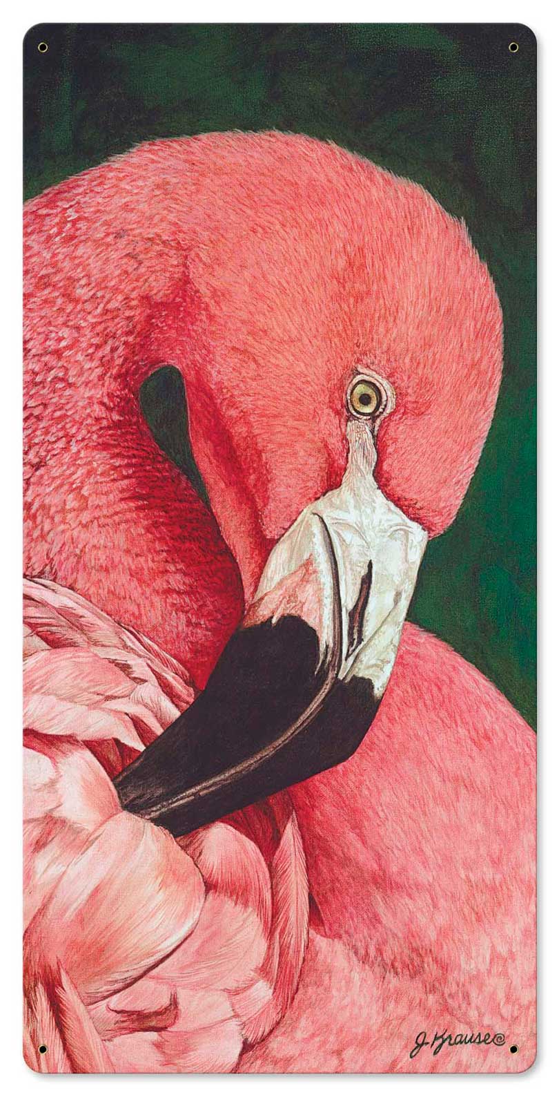 Flamingo 12 x 24