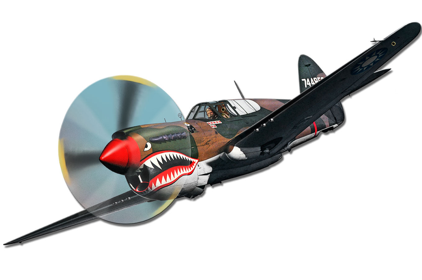 Flying Tiger 16 x 10