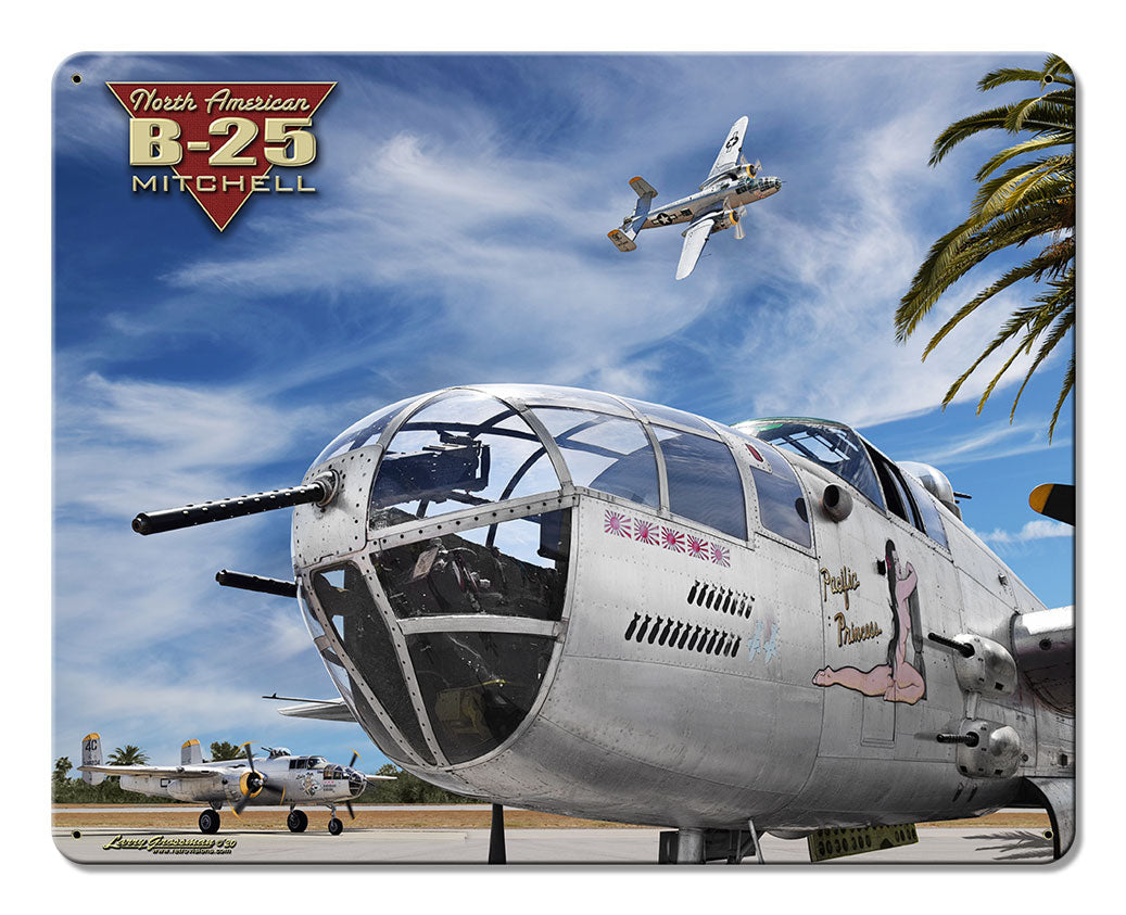 B-25 Mitchell 15x12
