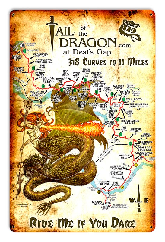 Tail Of Dragon 18 X 12