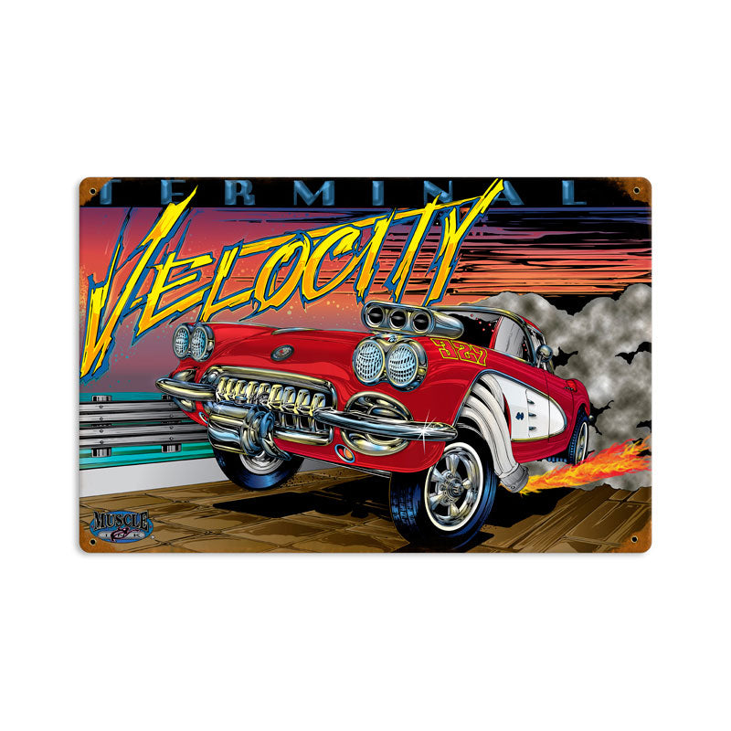 Terminal Velocity 18 x 12