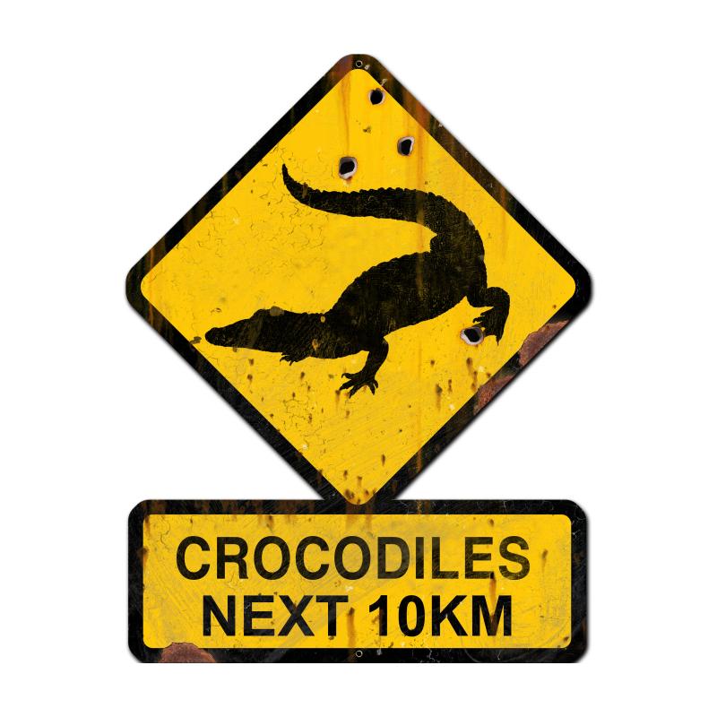 Crocodiles Next 10 Km 25 x 20