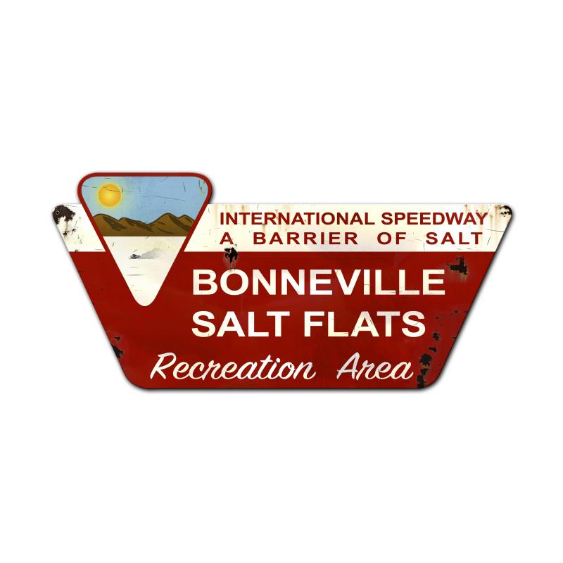 Bonneville Salt Flats Created 36 x 18