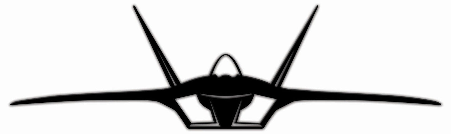 F-22 Raptor 36 x 10
