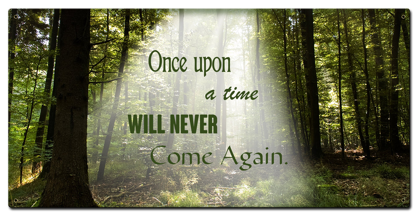 Once Upon A Time 36 x 18