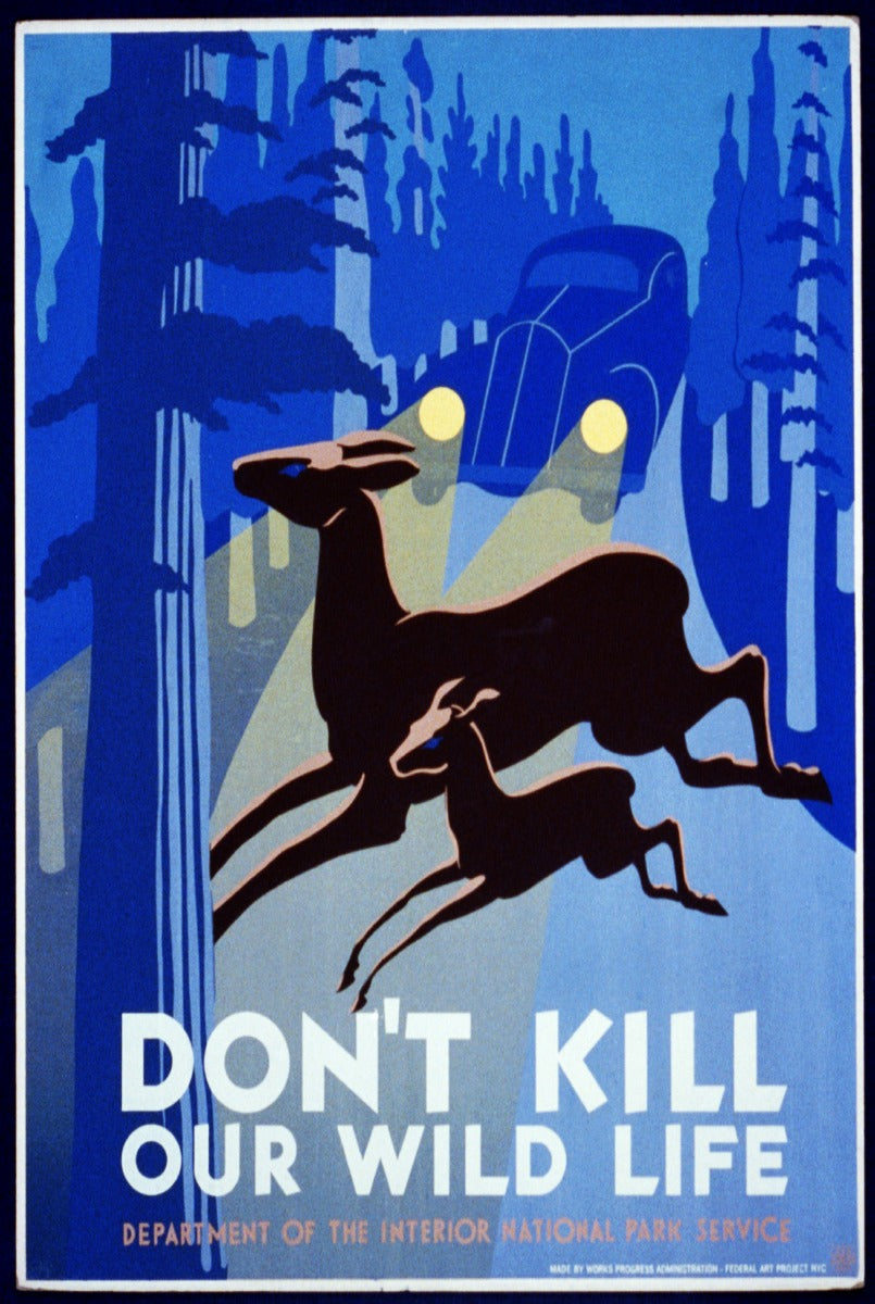 Don'T Kill Our Wildlife 24 x 36