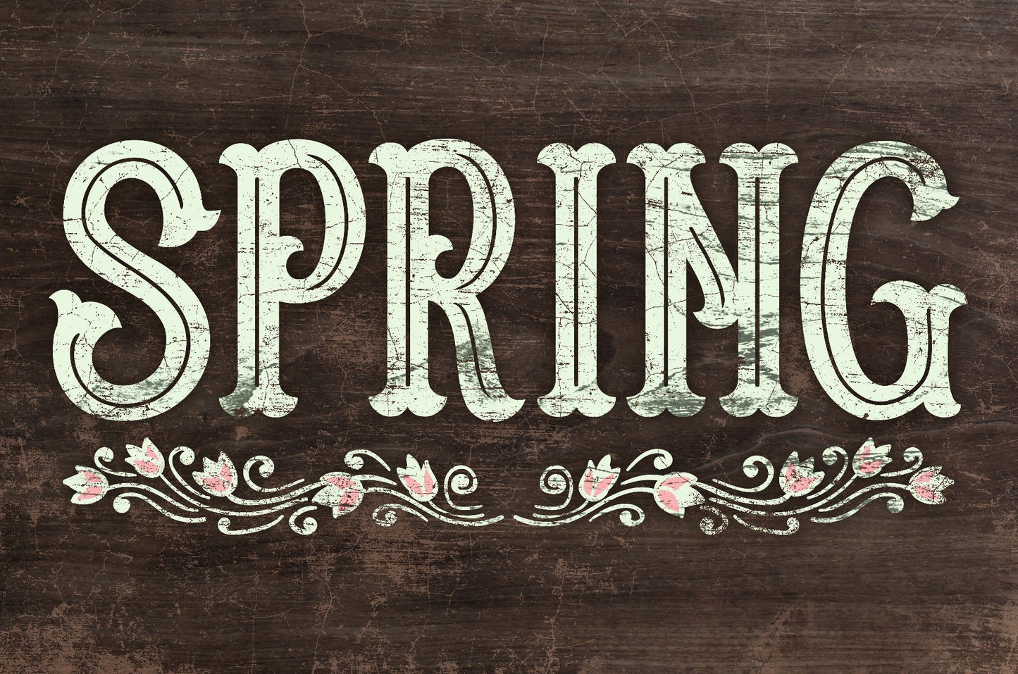 Spring 18 x 12