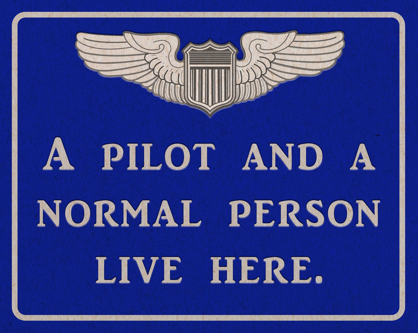 Pilot And Normal Person 15 x 12