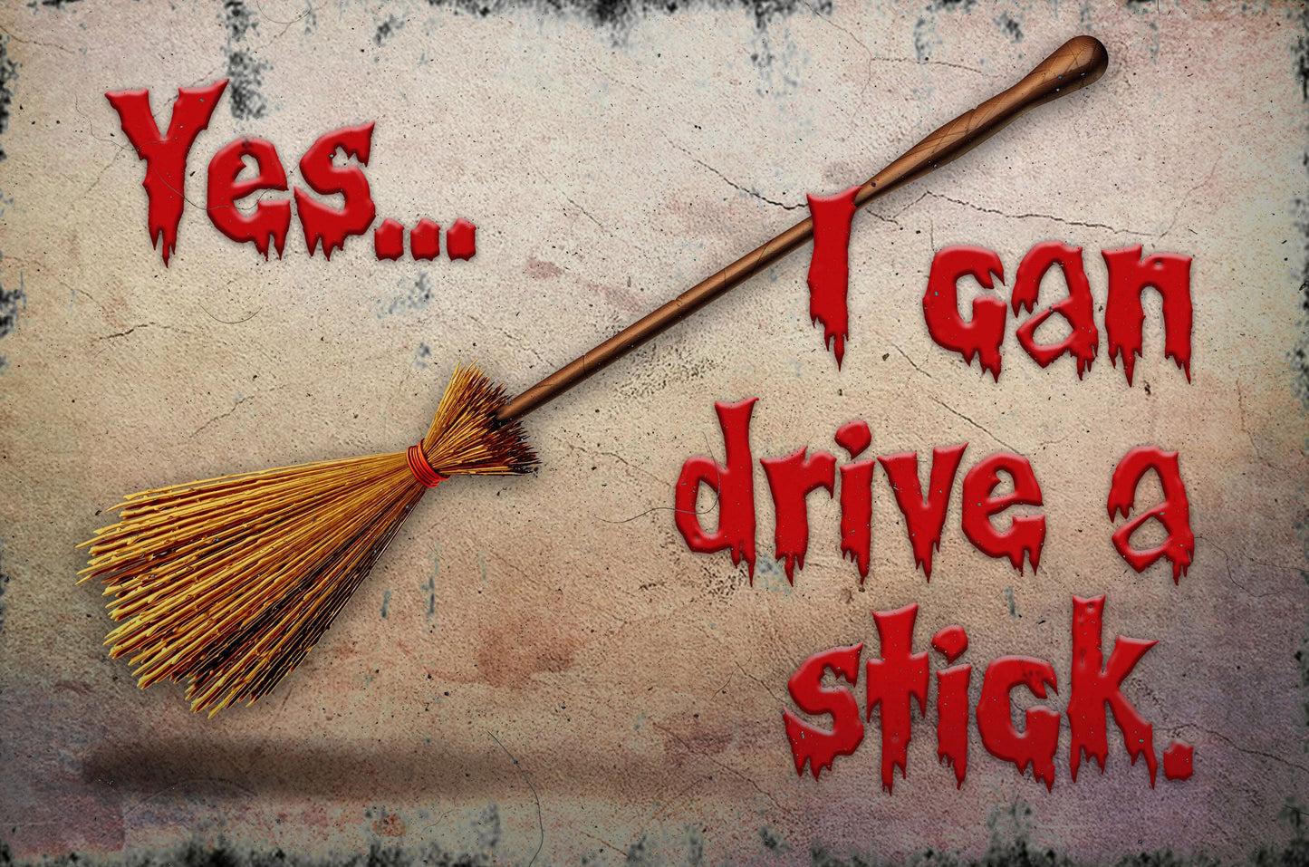 Can Drive A Stick 18 x 12