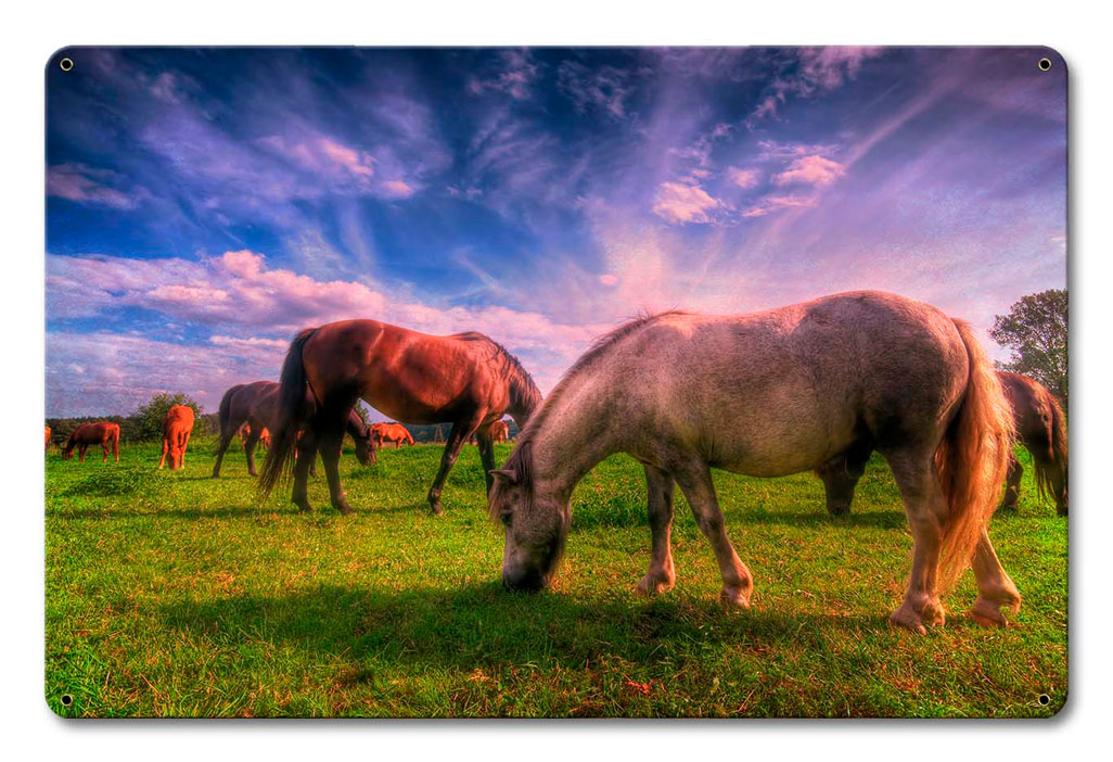 Wild Horse 2 18 x 12