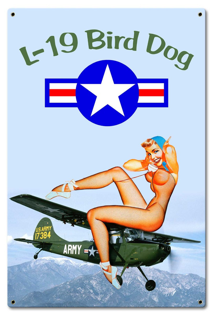 L-19 Bird Dog Pinup 16 x 24