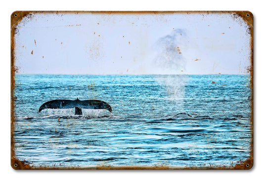 Hawaii Whales 18 X 12