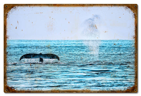 Hawaii Whale 24 X 16