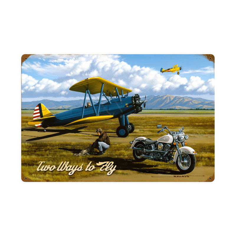 Two Ways To Fly 24 x 16