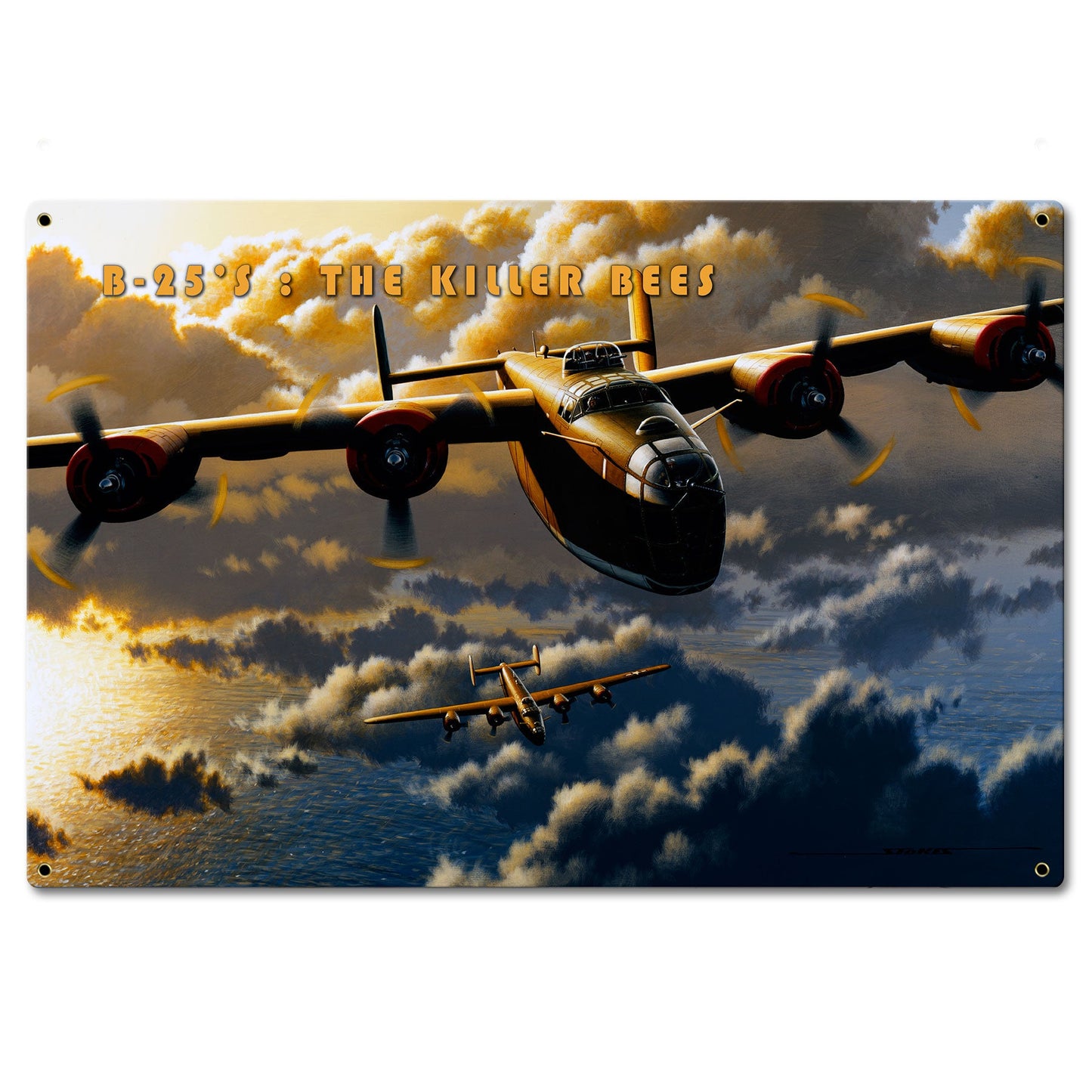 B-25 Killer Bee 24 x 16
