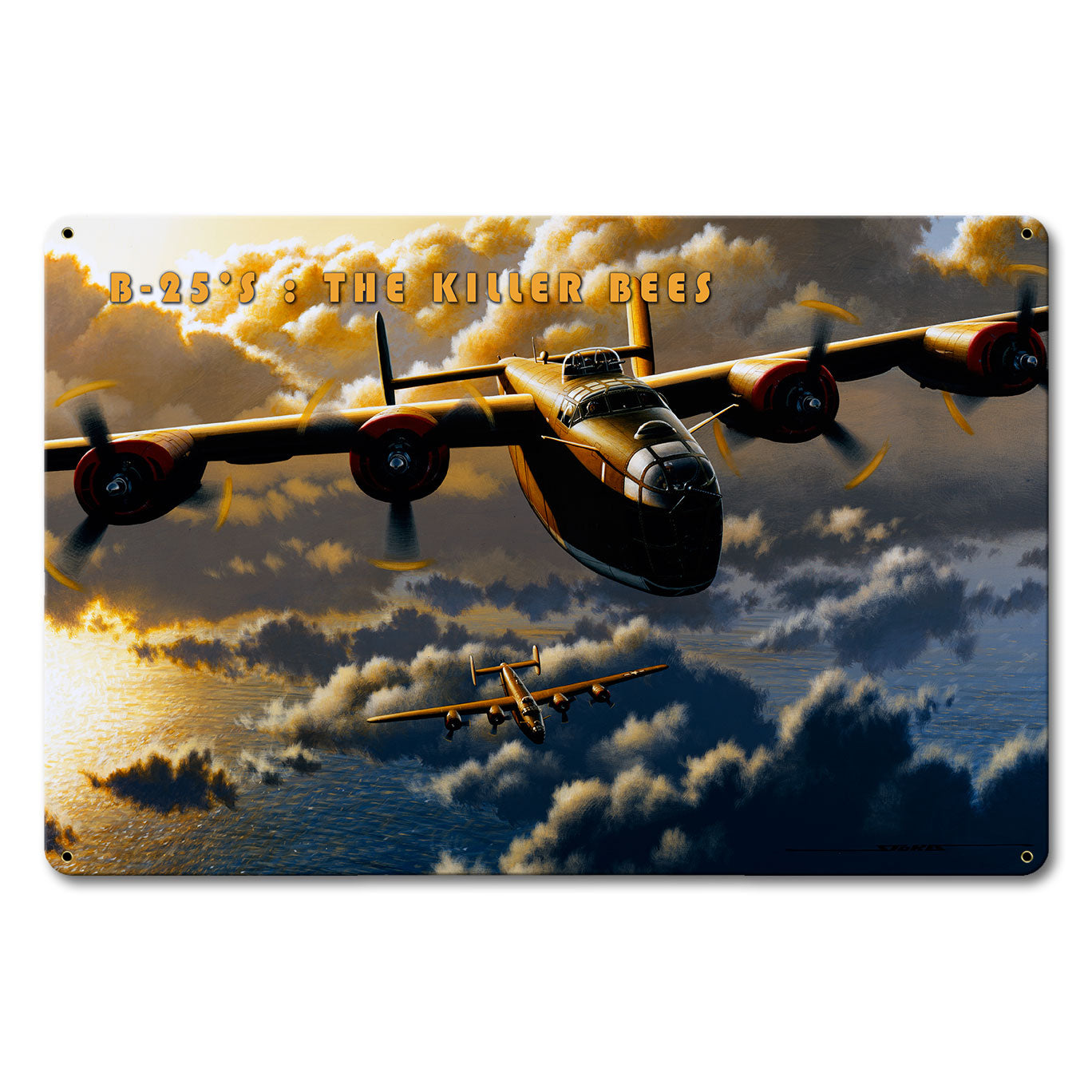 B-25 Killer Bee 18 x 12