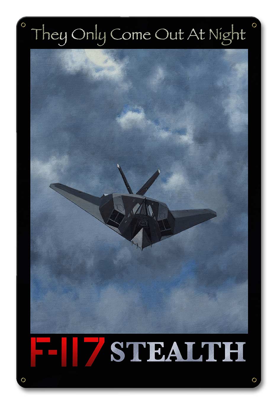 F-117 Stealth 12 x 18