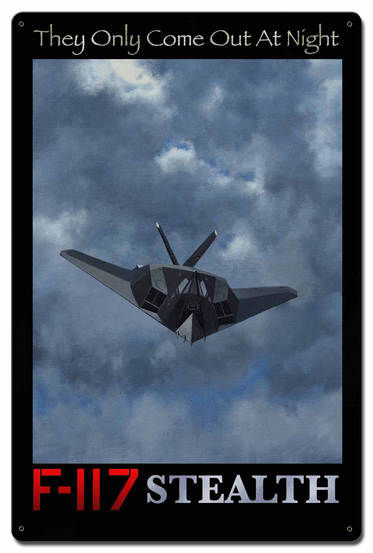 F-117 Stealth 16 x 24