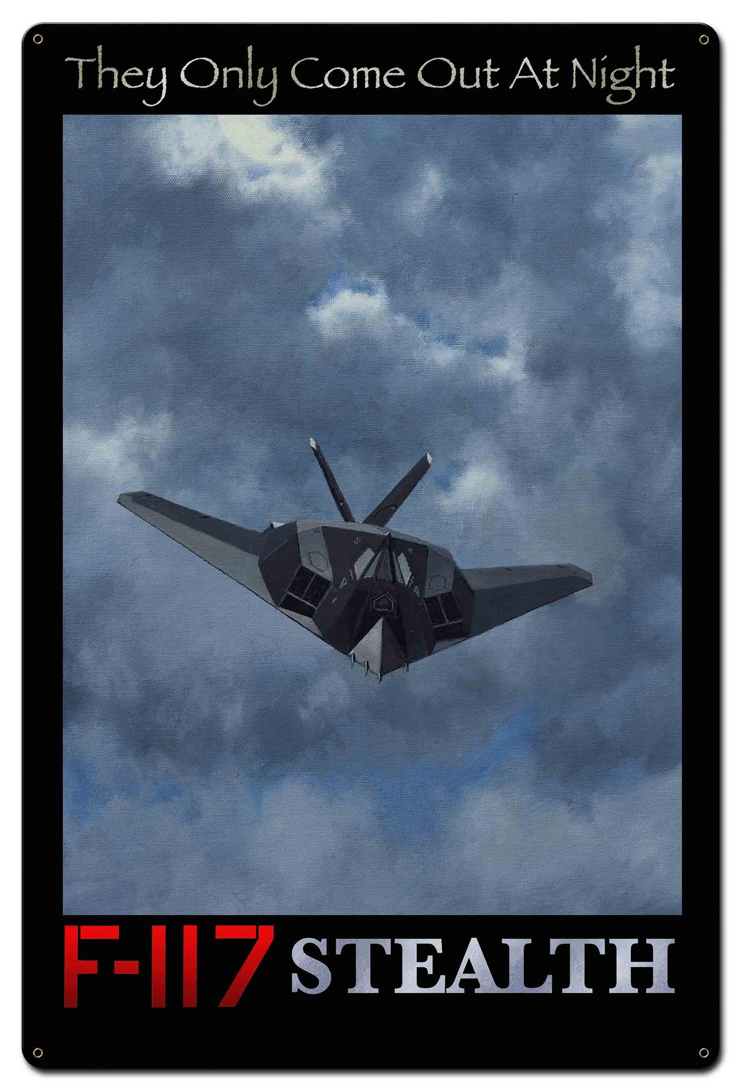 F-117 Stealth 24 x 36