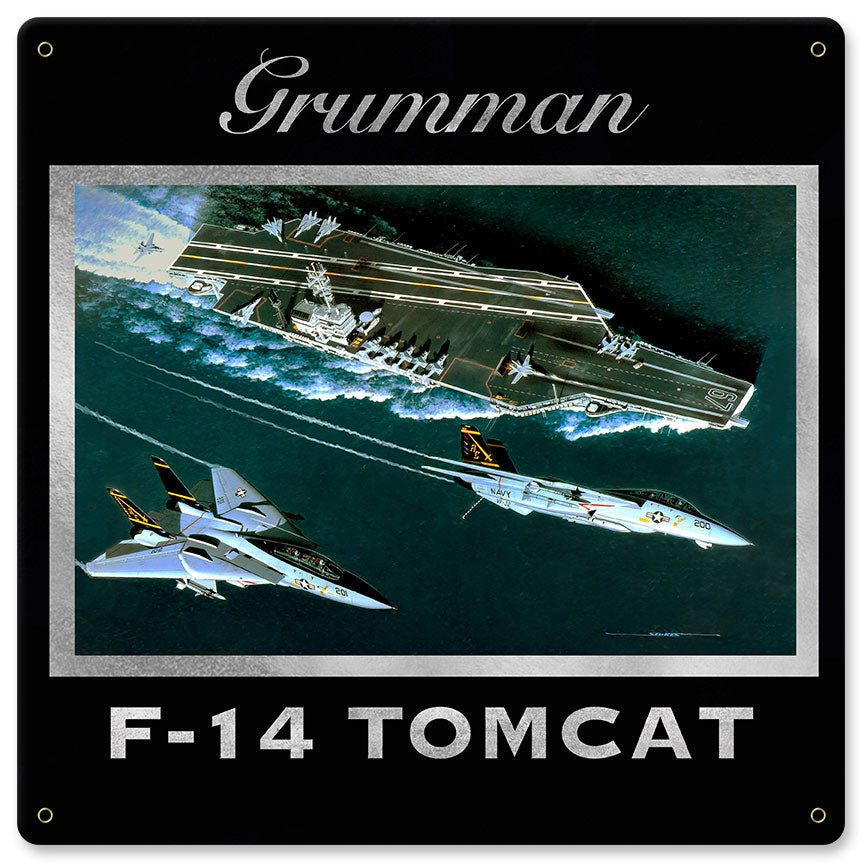 F-14 Grumman 12 x 12