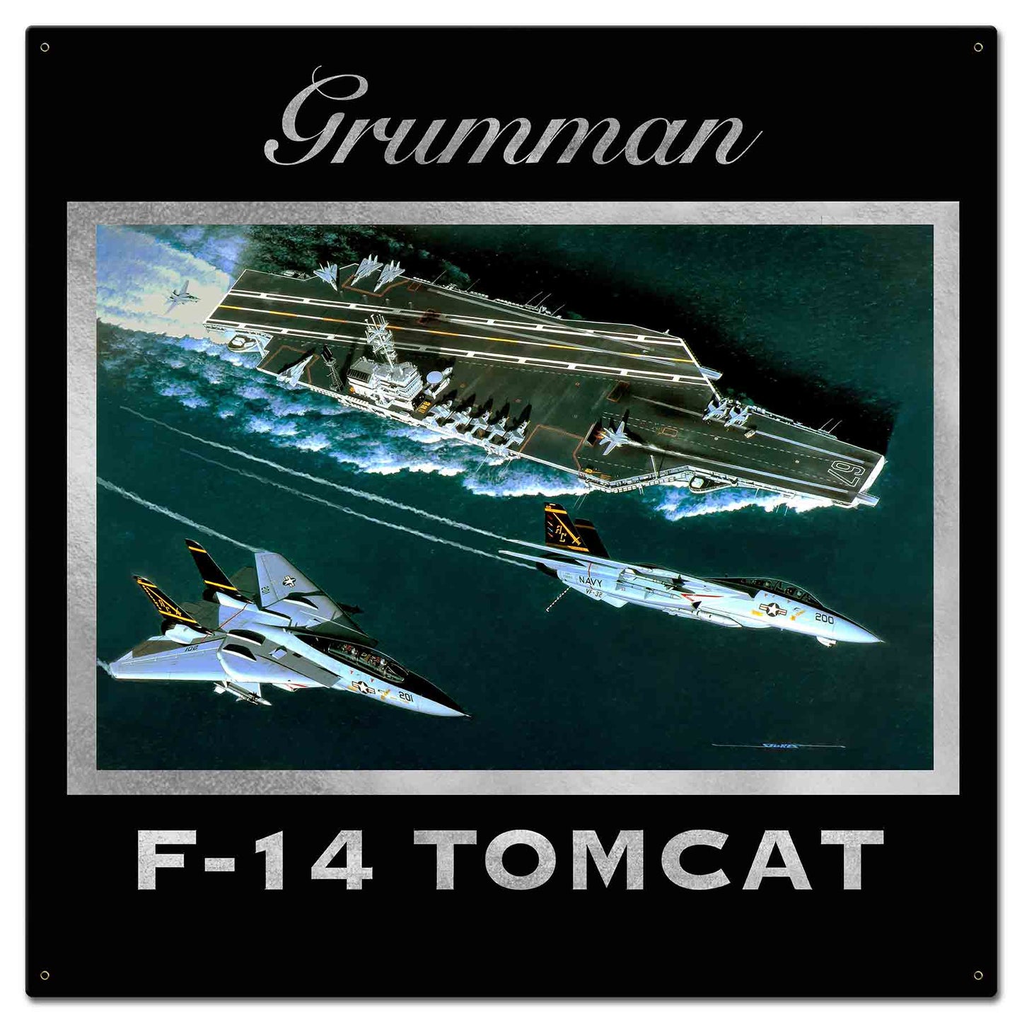 F-14 Grumman 24 x 24