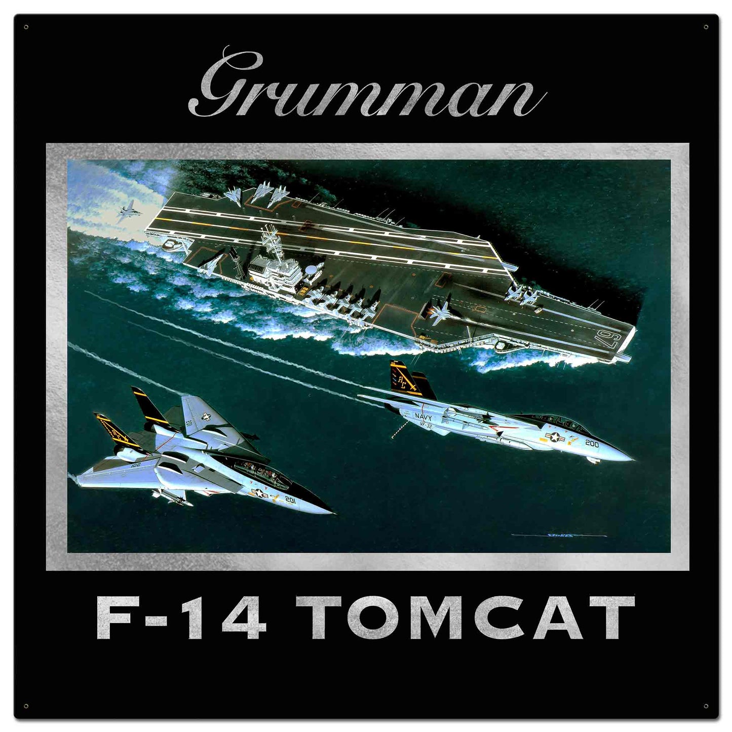 F-14 Grumman 36 x 36