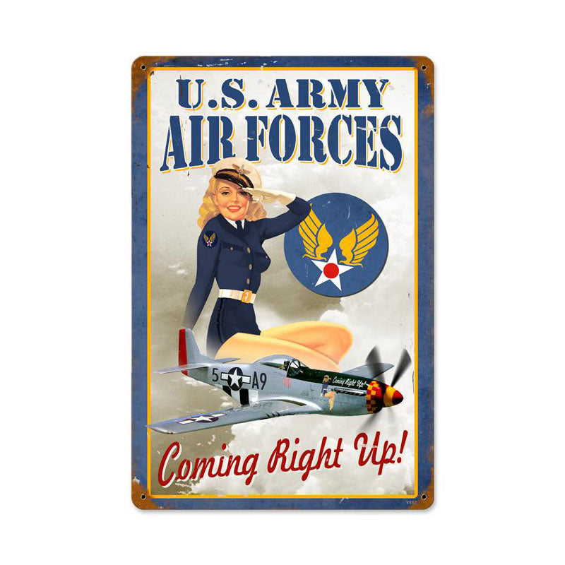 Air Forces Pin Up 12 x 18