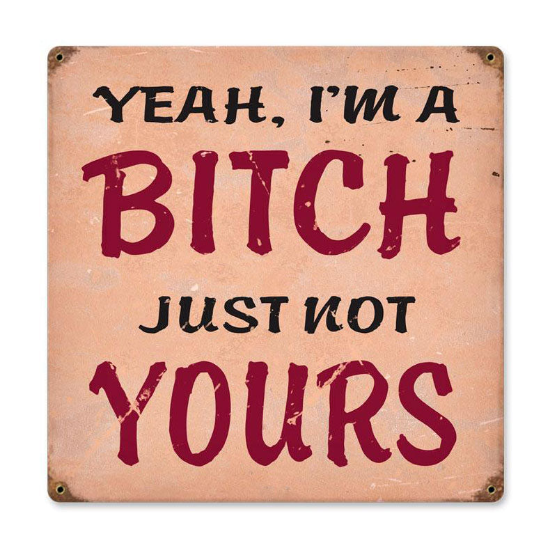I'M A Bitch 12 x 12