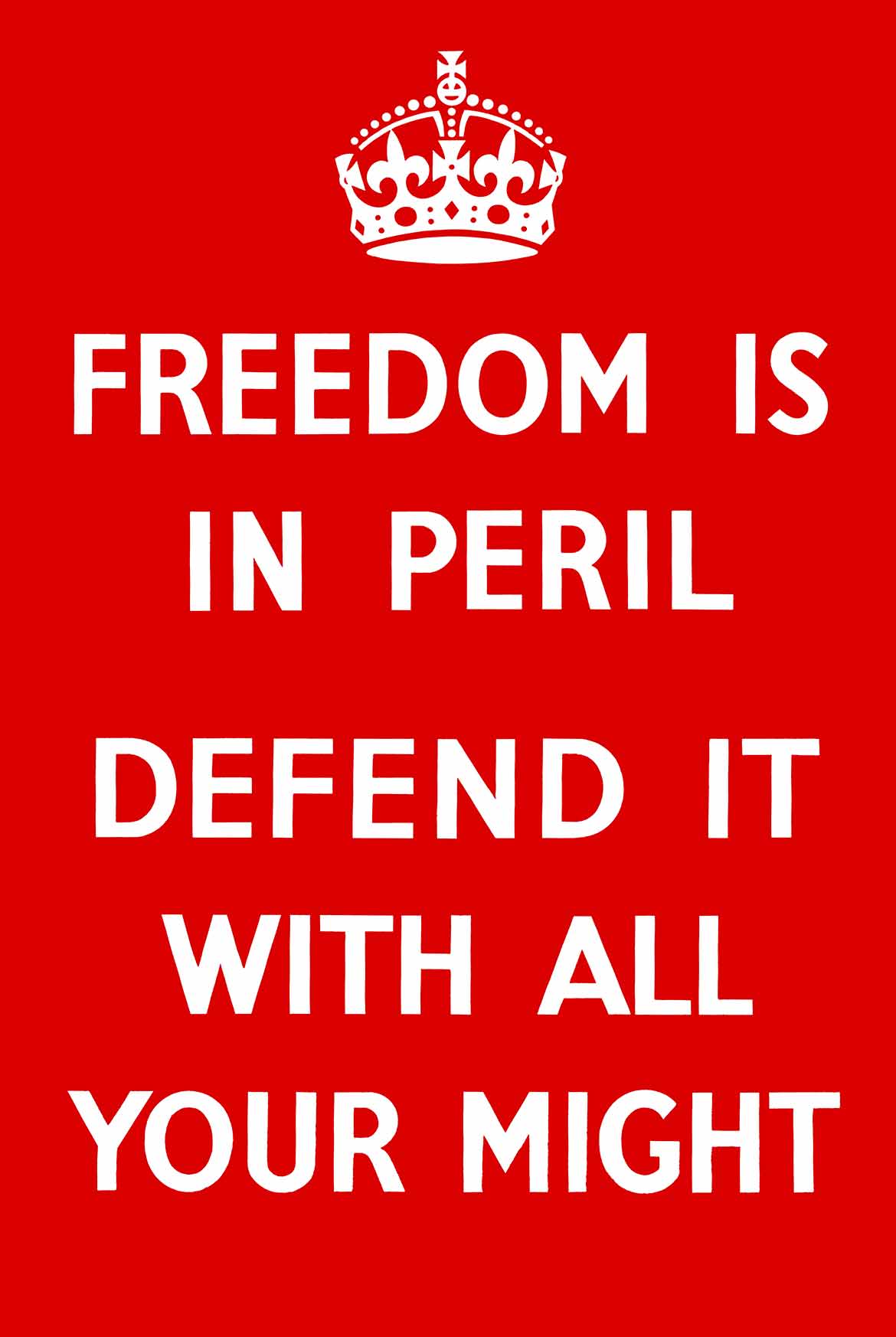Freedom Is In Peril 16 x 24