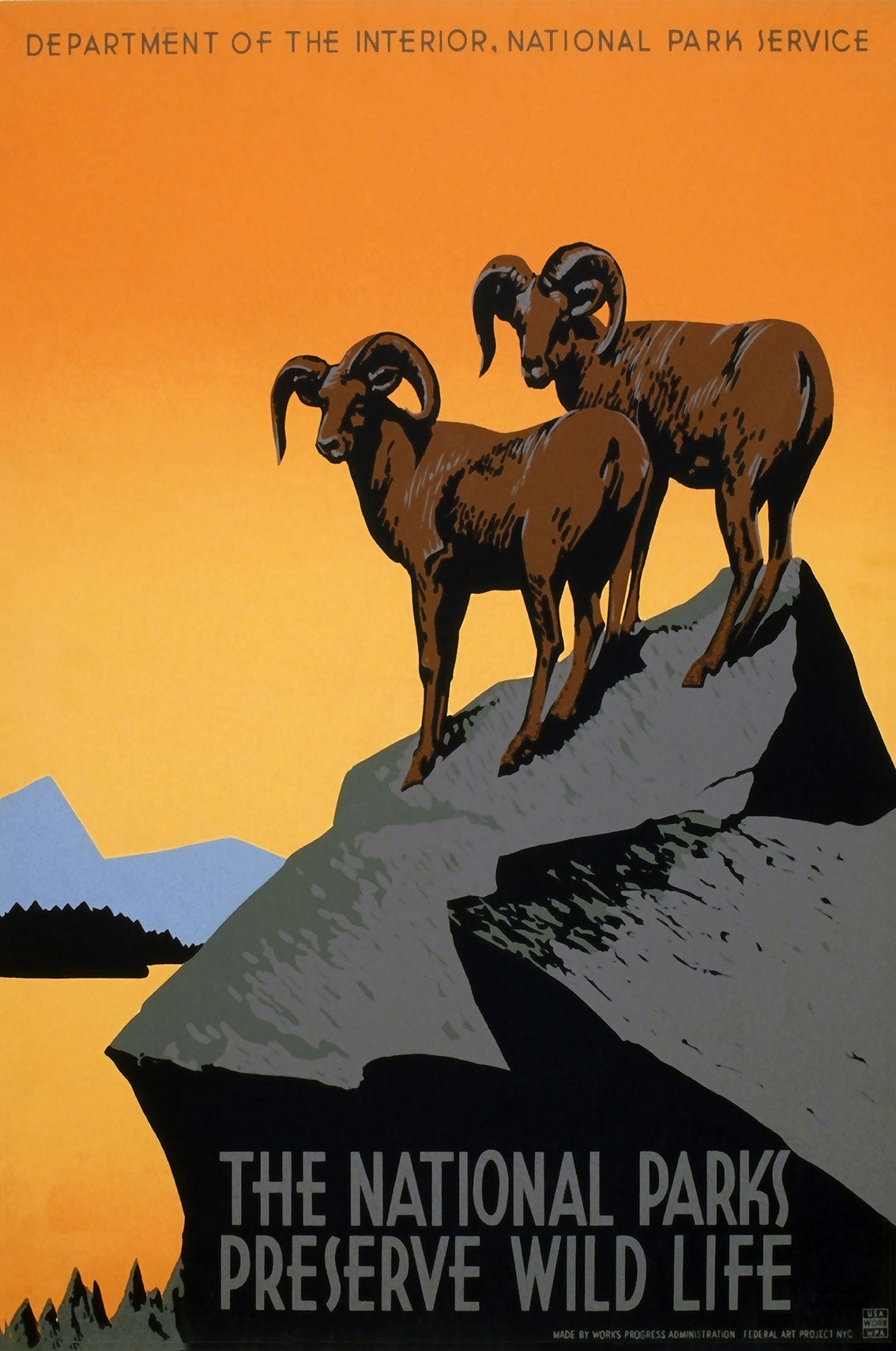 National Parks Preserve Wild Life 16 x 24
