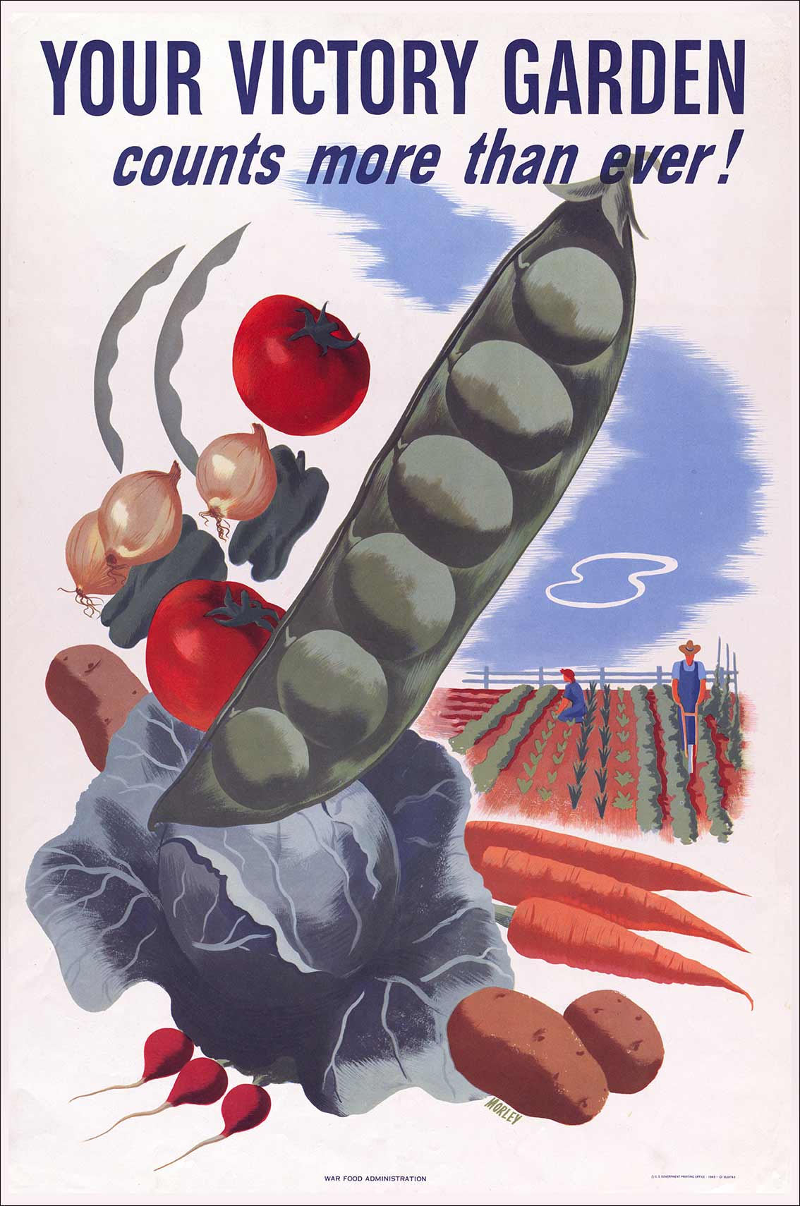 Your Victory Garden 16 x 24