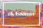 Ok Boomer 18 x 12