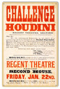 Houdini Challenge Magician 12×18