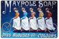 Maypole Soap Dyes Blouses 12x18