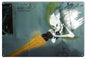 Skeleton Nose Art Aviation 12×18