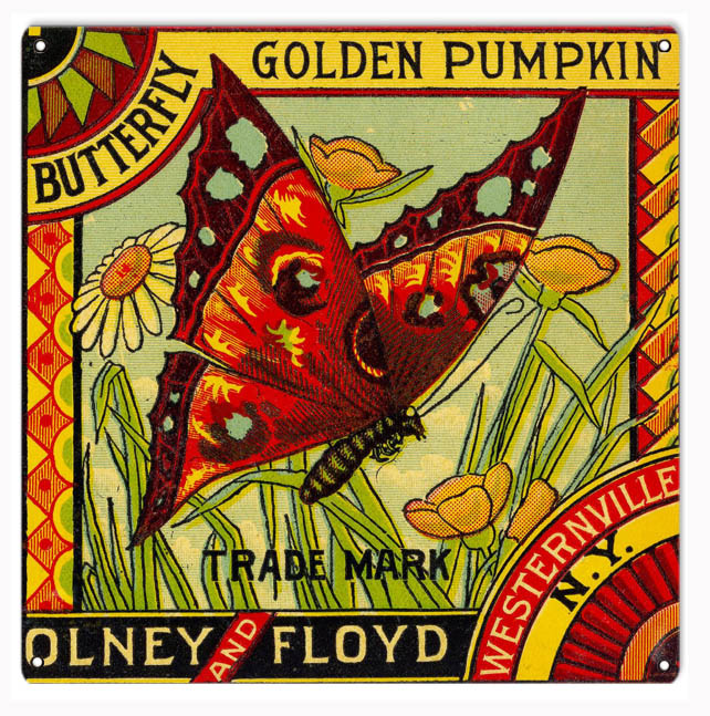 Olney And Floyd Golden Pumpkin 12×12