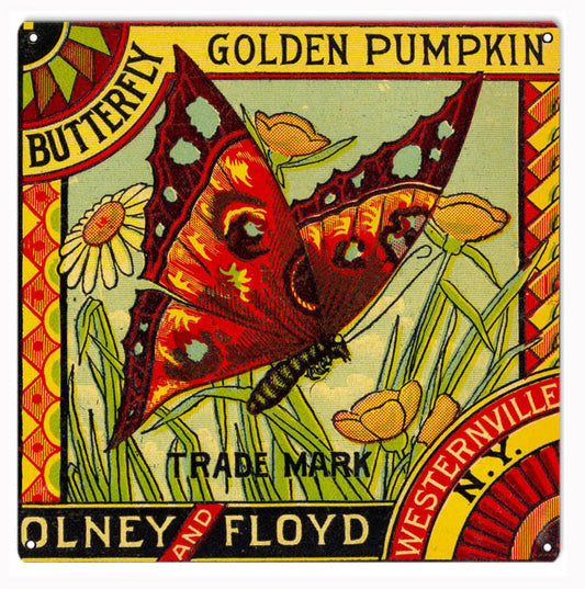 Olney And Floyd Golden Pumpkin Vintage Style Metal Sign 12 × 12