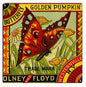Olney And Floyd Golden Pumpkin 12×12