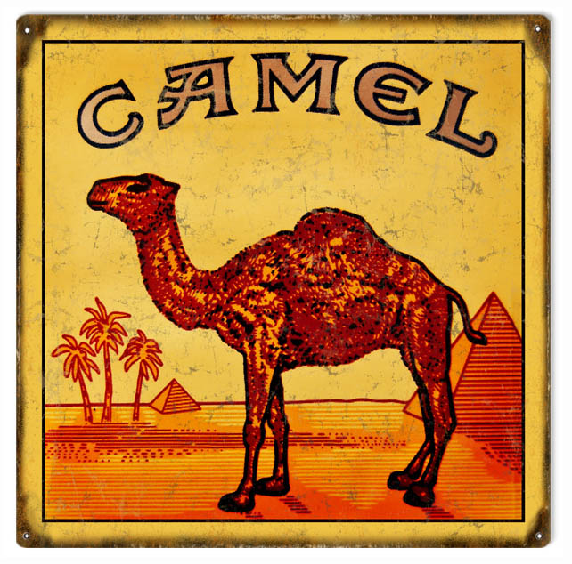 Camel Cigarettes Tobacco Smoke 12×12