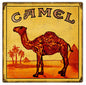 Camel Cigarettes Tobacco Smoke 12×12