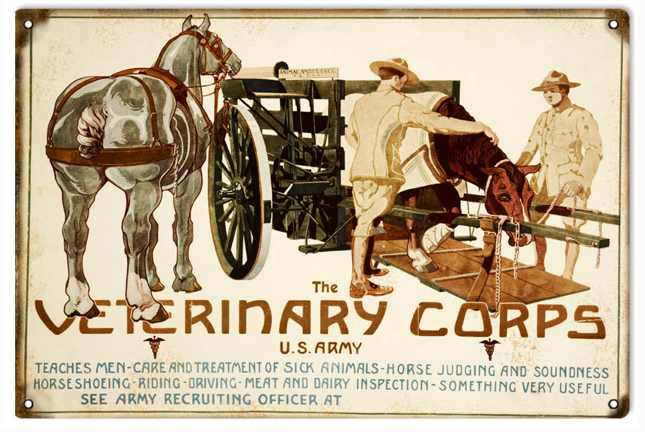 US Army Veterinary Corp 12x18