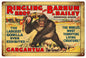 Ringling Bros Gorilla Circus 12x18