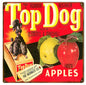 Top Dog Fancy Apples 12x12