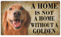 A Home Is Not A Home Without A Golden Dog 8x14