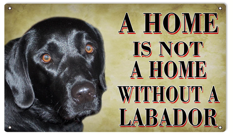 A Home Is Not A Home Without A Labrador Dog 8x14